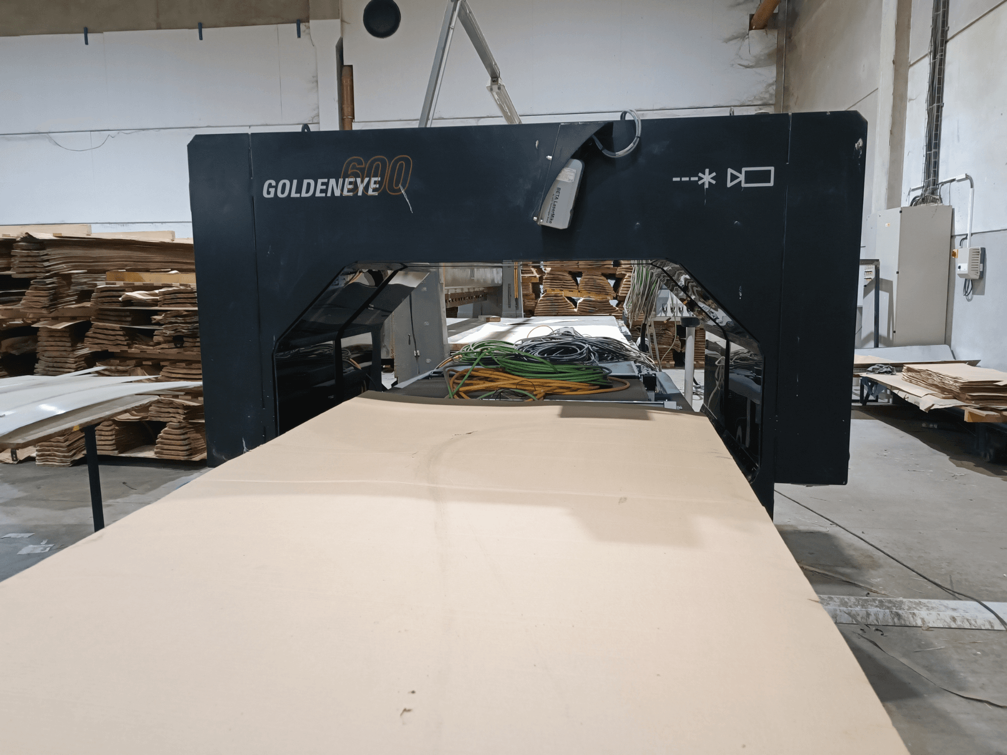 Microtec GOLDENEYE GLD 600 DSC puidutöötlemismasin esiplaanil, suure lõikepinnaga ja seadmetega töökojas.